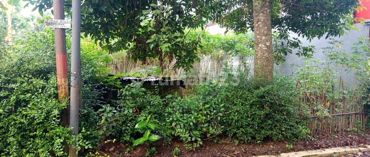 Lahan ,adem,seger Sgt Bagus Utk Rmh Kost Atau Hunian 1