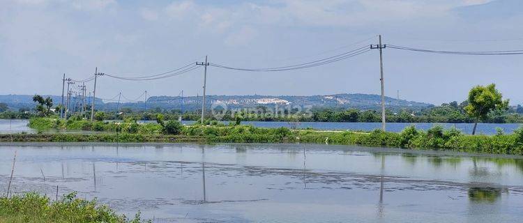 DIJUAL LAHAN TAMBAK PRODUKTIF DI UJUNGPANGKAH GRESIK 1