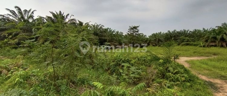 Jual Tanah Strategis Utk Bangunan Komersil  1