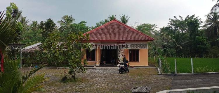 Jual Rumah 2 Bangunan Halaman Luas Bandongan Luas Tanah 2862m Bangunan 150m Dan 72  1