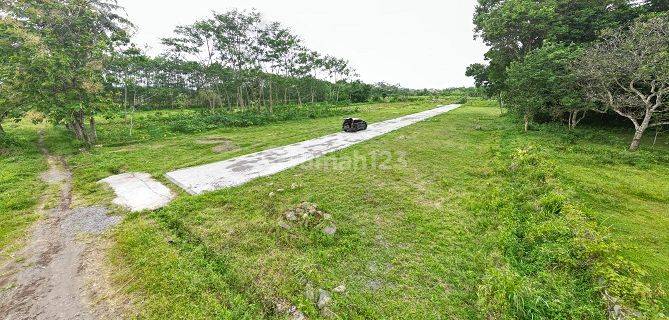 500 Rb-an Kavling SHM Area Cibarusah. View Sawah & Bukit  1