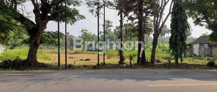 Tanah di Jalan Raya Surabaya- Tuban dekat Ringroad.Tanah Tegalbang  desa Banjarsari Tuban 1