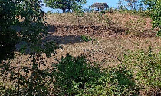 Tanah Strategis di Sekotong Barat Perbukitan View Pantai Sekotong 1