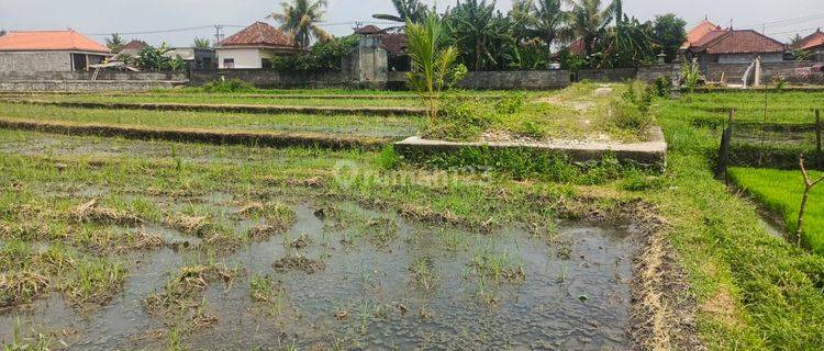 Dijual Tanah View Gunung Dan Sawah di Pantai Nyanyi 1