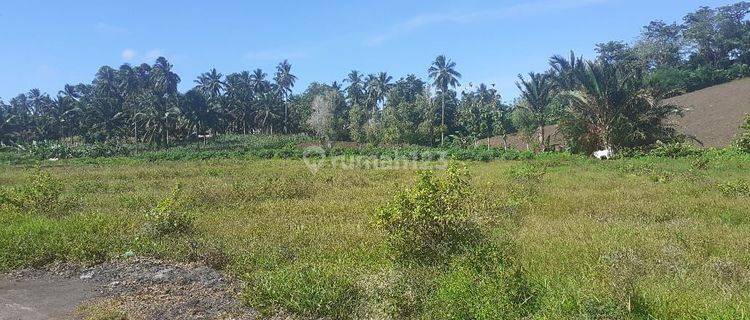 Tanah 3,5 H  Di Belakang Pabrik Coca Cola Kauditan Pas For Pabrik 1