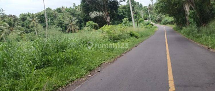 Tanah 1~2 H Tanjung Merah Bitung Kawasan Industri Dan Gudang  1