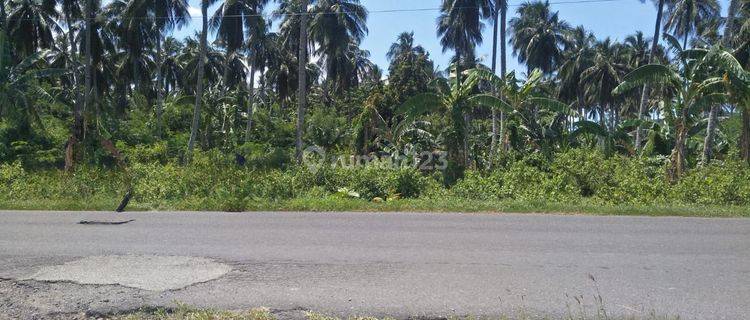 Tanah 2 H Di Kema Cocok Buat Industri Dan Gudang  1