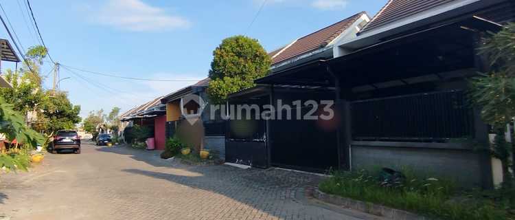 Dijual Rumah Gresik Di Menganti Di Puri Safira Regency 1