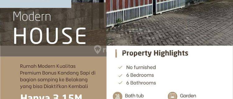 Rumah Mewah Bonus Kandang Sapi Di Kanigoro Blitar Harga Murah 1