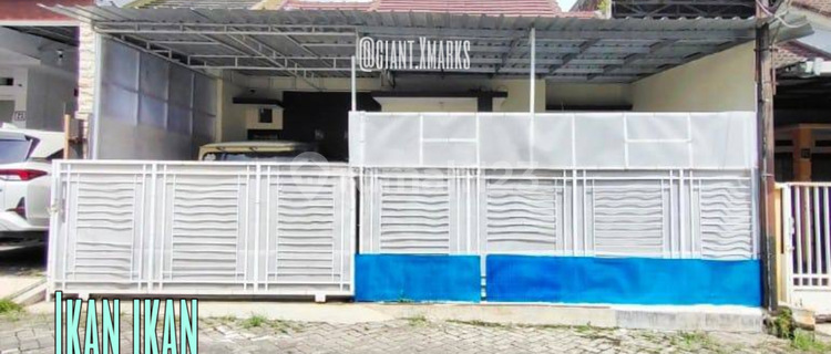 Rumah Minimalis Semi Furnished Di Ikan Ikan Lowokwaru Malang  1