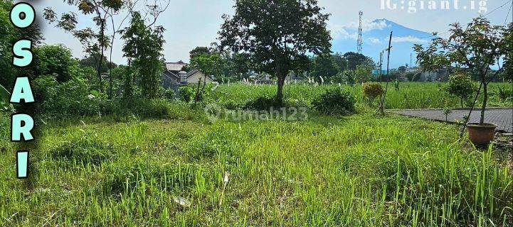 Tanah Siap Bangun Di Candirenggo Singosari Malang 1