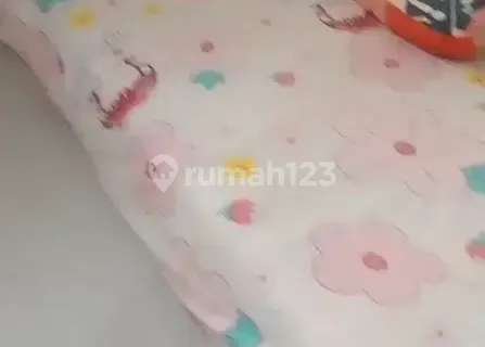 accept male boarding house tenants 1