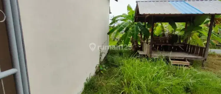 Sewa Kamar Kos wanita di Darussalam 1