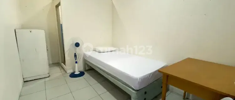 Pet-Friendly Boarding House | Joglo | Cipulir | Gandaria | Kebayoran 1