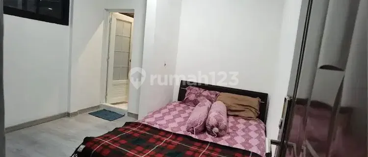 Tree lodging Cipinang Friendship Hospital Immigration Pulogadung 1