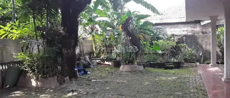 KOSAN PRIA IBU MAYOR 1