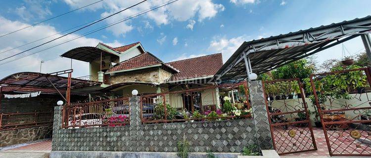 Rumah 1 Lantai Bonus 1 Lantai 1