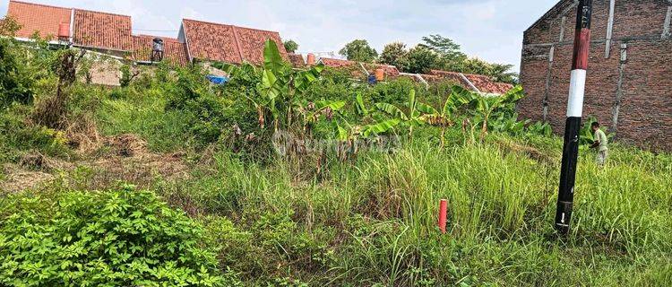 Tanah Murah View Perumahan Di Waru Baki Sukoharjo 1