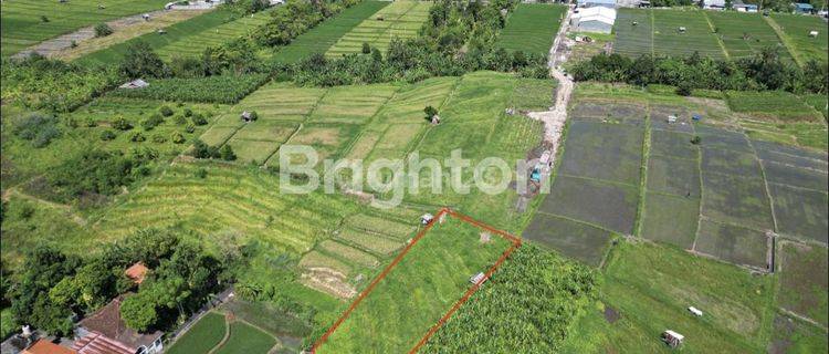 LAND PLOTS IN KEROBOKAN SEMINYAK BALI 1