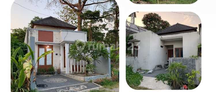 Dijual Rumah Murah Lantai 1 Siap Huni di Denpasar Barat 1