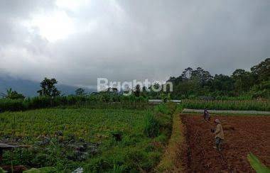 TANAH DI SUKASADA BULELENG 1