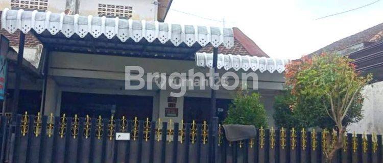 Hunian Rumah Asri Dijual Dan Sewa Jalan Cakalang 1