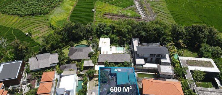 TANAH PREMIUM PERENENAN CANGGU BALI 1