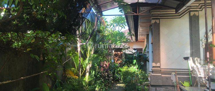 Rumah Luas Gg Merpati Sanur Bali 1