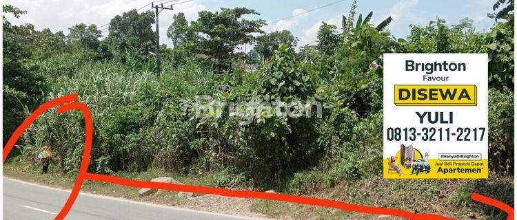 Disewakan: Lahan Luas strategis di Pinggir Jalan Utama P. Suryanata-Akses Mudah dan Strategis 1