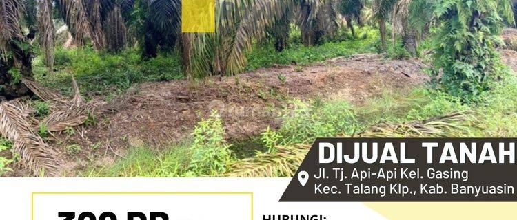 Tanah Dijual di Pinggir Sungai Tanjung Api Api Cocok untuk Pelabuhan 1