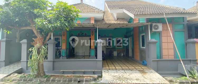 For Rent: Fully Furnished Ready-to-Occupy House in Vila Nusa Indah 5 Ciangsana Near Kota Wisata 1