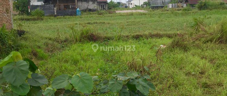 Dijual Tanah Murah Daerah Masih Asri di Sunggal Deli Serdang 1