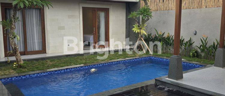 NEW VILLA IN BUDUK 3BR NEAR CANGGU 1