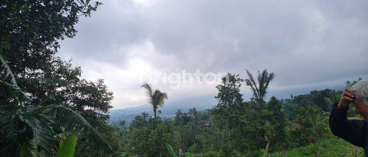  Tanah Sewa di  Jatiluwih View Sawah Terasering 1