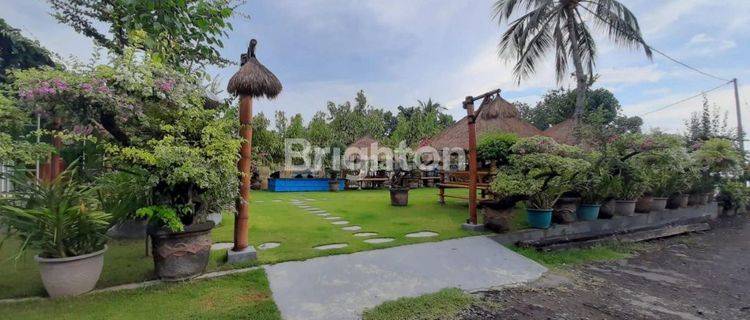 Tanah Pantai di Bali Cocok Untuk Bisnis 1