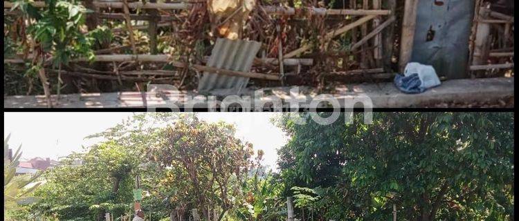 Judul ListingTanah Siap Bangun Lokasi Kawasan Kampus di Tlogomas Malang 1