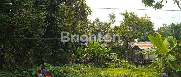 Tanah Luas Dan Subur Di Tingkir Salatiga  1