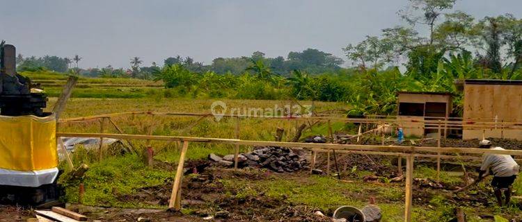 Tanah Dijual Lokasi Dekat Pantai Pererenan Zona Kuning 1