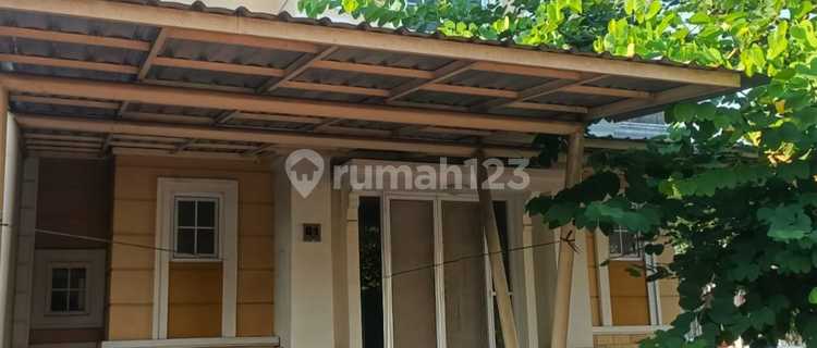 Rumah Dikontrakan Cluster One Gate System di Paramount Village 1