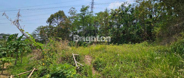 TANAH MURAH ,SIAP BANGUN,UDARA SEJUK 1