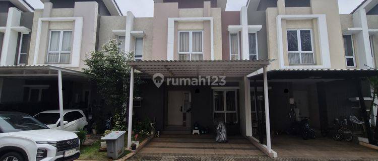 Dicari pembeli Paling elite ROSSINI  ROSSINI Paling laris Dari Summarecon 1