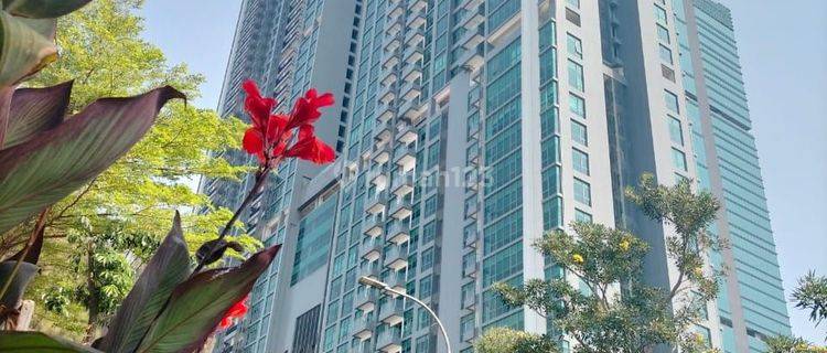 Apartemen Holland Village Jakarta Siap Huni 1