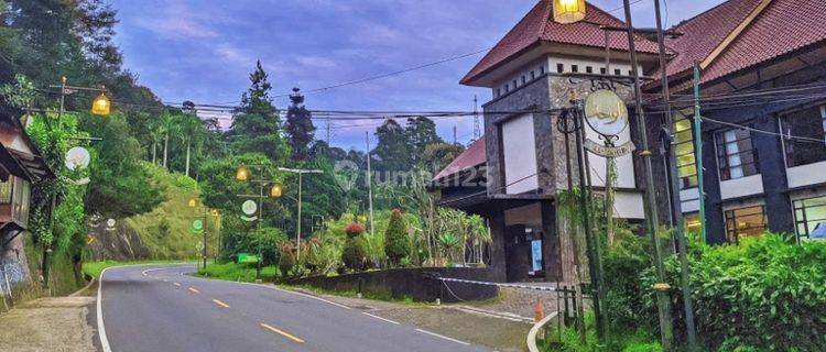 Jk300.hotel Bintang Empat Termurah Dgn 116 Kamar di Puncak, Bogor 1