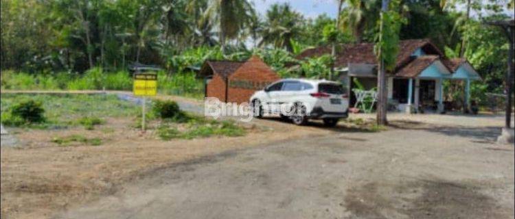 Tanah Kavling Siap Bangun Area Kalimenur Sentolo Kulon Progo Yogyakarta Bisa Hotel  1