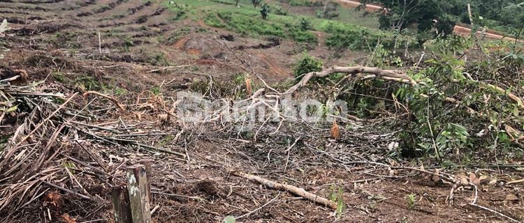DIJUAL TANAH MURAH DI JALAN IKIP MEKAR  TENGGARONG KUTAI KARTANEGERA 1