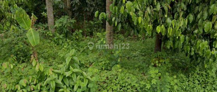 Dijual Lahan Untuk Perumahan Di Serang