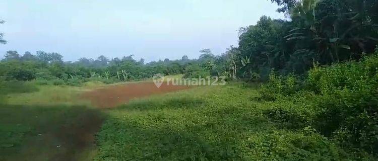 Dijual Lahan Untuk Industri Dan Pergudangan Pandeglang Banten 1