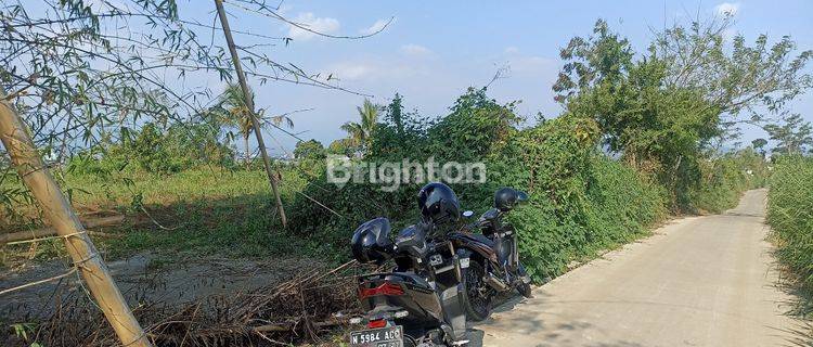 TANAH UNTUK KEBUN VILLA DAN RUMAH 1