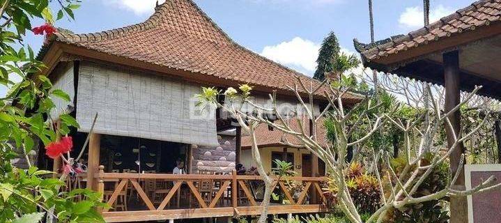 HOTEL BINTANG 3 BONA VILLAGE GIANYAR BALI 1
