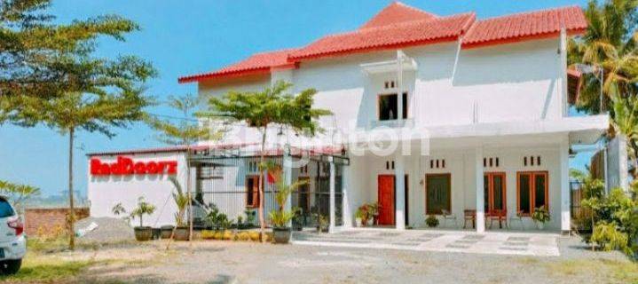 Homestay dan rumah full furnished view sawah dekat bandara YIA 1